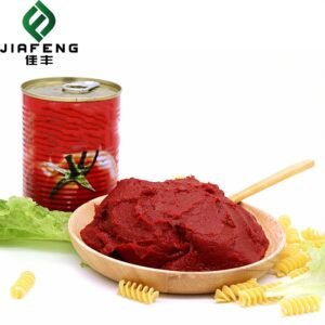 OEM Brand 2200g Organic Canned Tomato Paste 6 Tins Each for Cooking